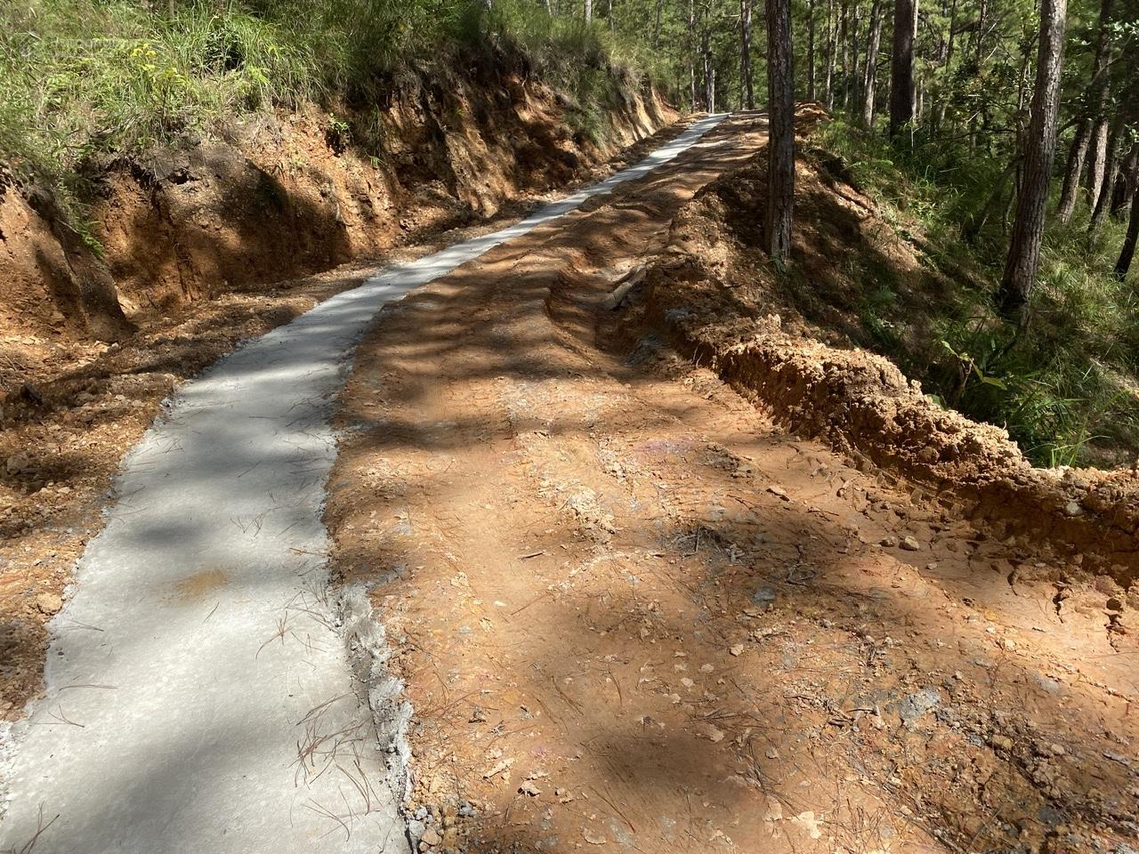 Cho thuê 10.600m2 đất vườn cafe Sim Tím MT QL20, HXH Đà Lạt 12