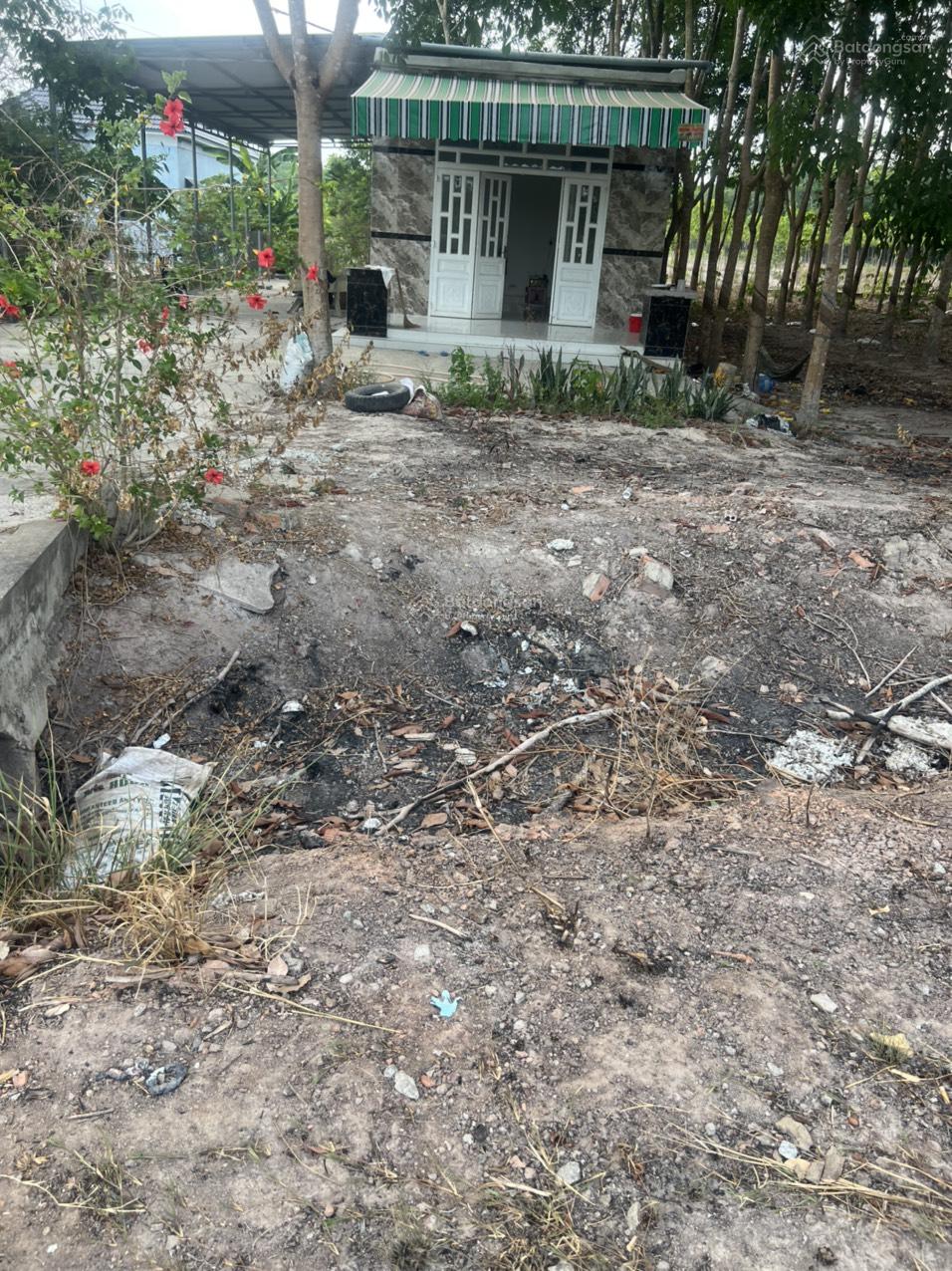 Cho thuê 4.240m2 đất thổ cư đường DT741C rộng 22m có nhà mặt tiền 80m 13