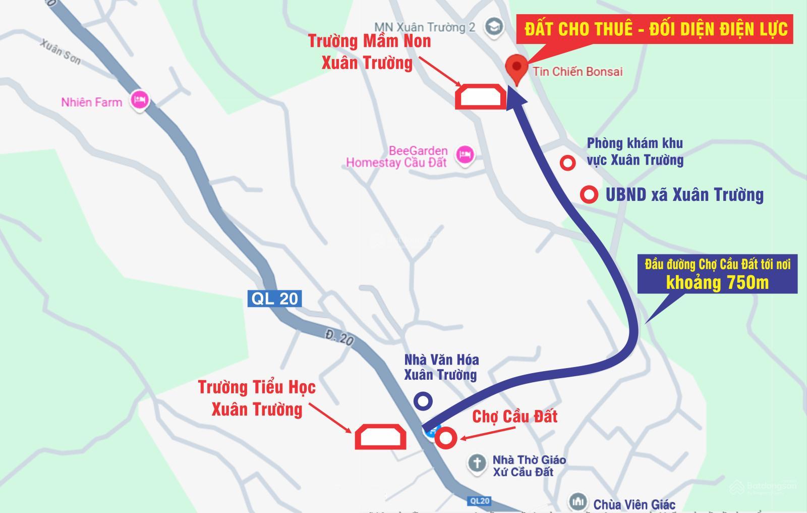 Cho thuê đất ở Đà Lạt Xuân Trường, miễn phí 1PN giá 2tr/lô/ sổ riêng 13