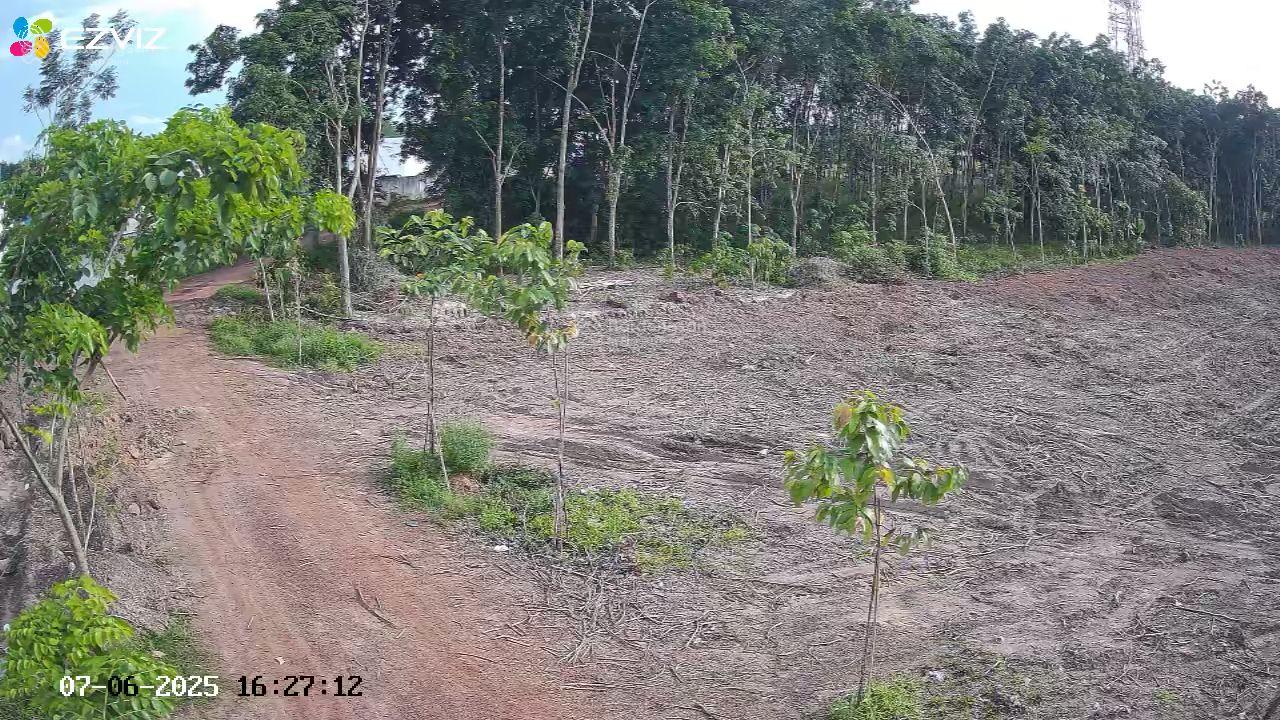 Cho thuê đất trống CLN tại xã An Long, TP. HCM, diện tích 4,5ha 14