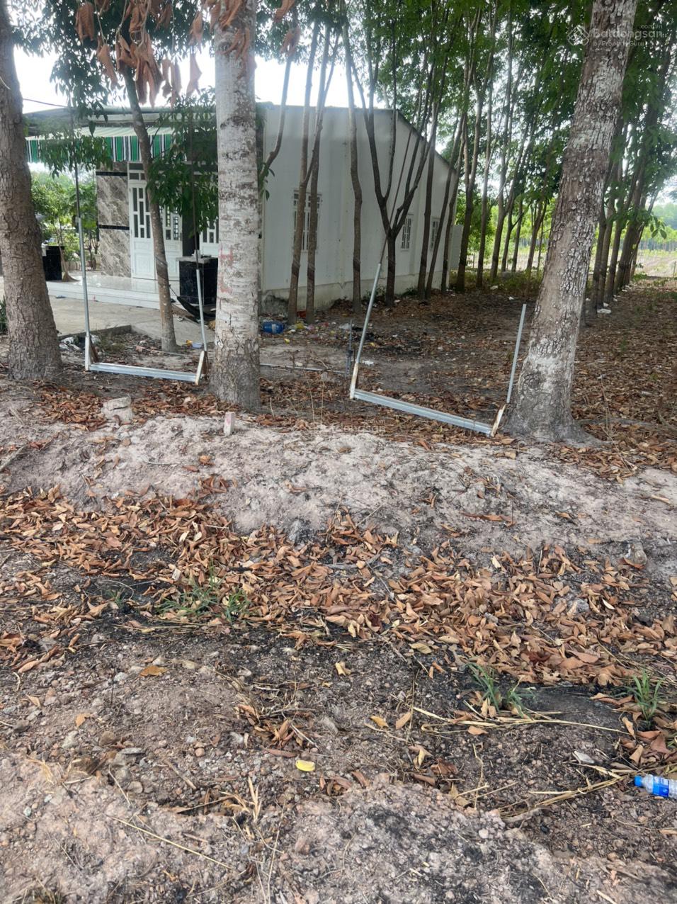 Cho thuê 4.240m2 đất thổ cư đường DT741C rộng 22m có nhà mặt tiền 80m 14