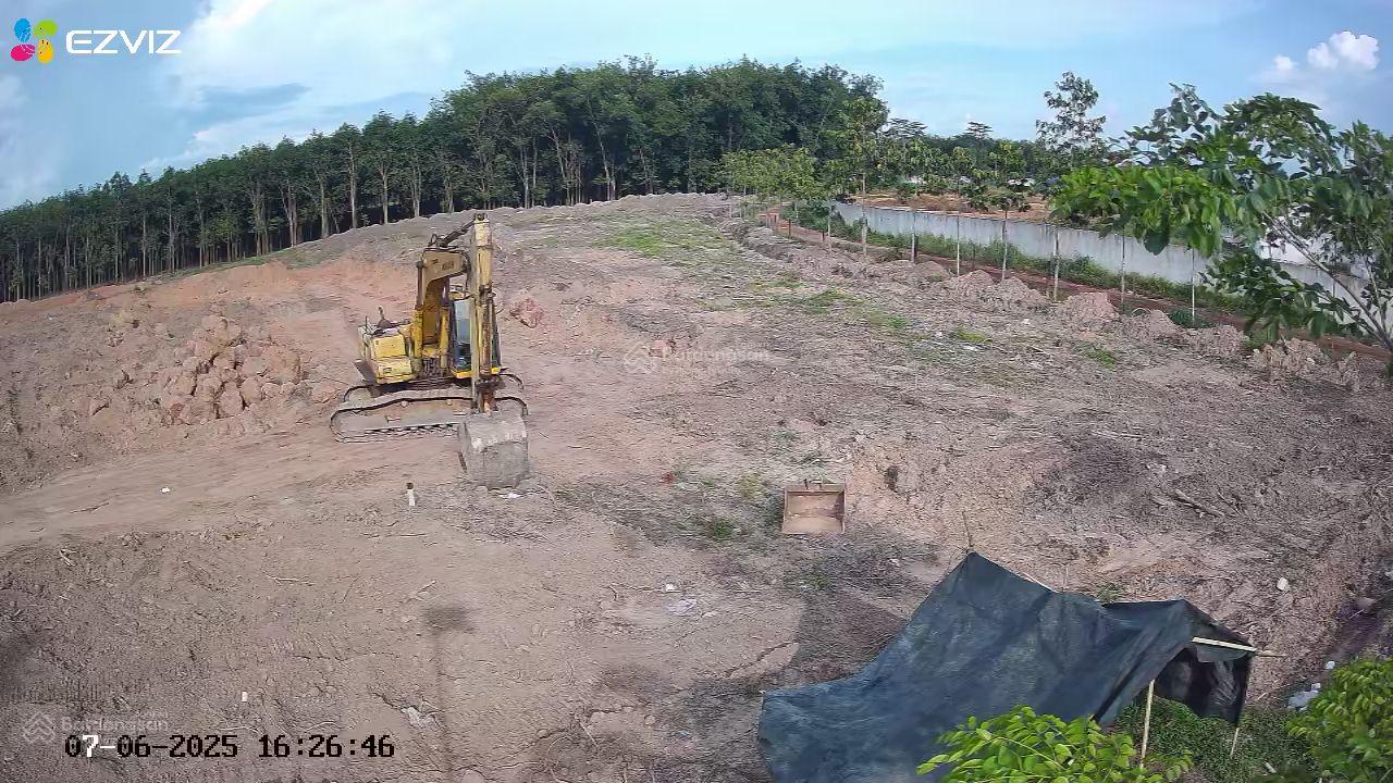 Cho thuê đất trống CLN tại xã An Long, TP. HCM, diện tích 4,5ha 15