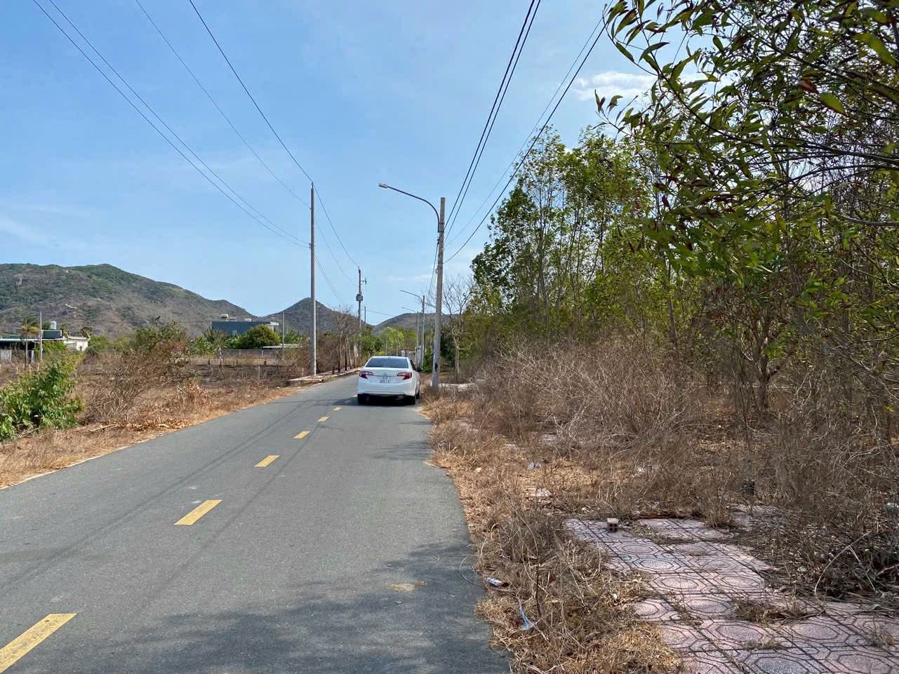 Cần bán Đất đường Tỉnh lộ 44B, Thị trấn Phước Hải, Diện tích 128m², Giá 900 Triệu 3