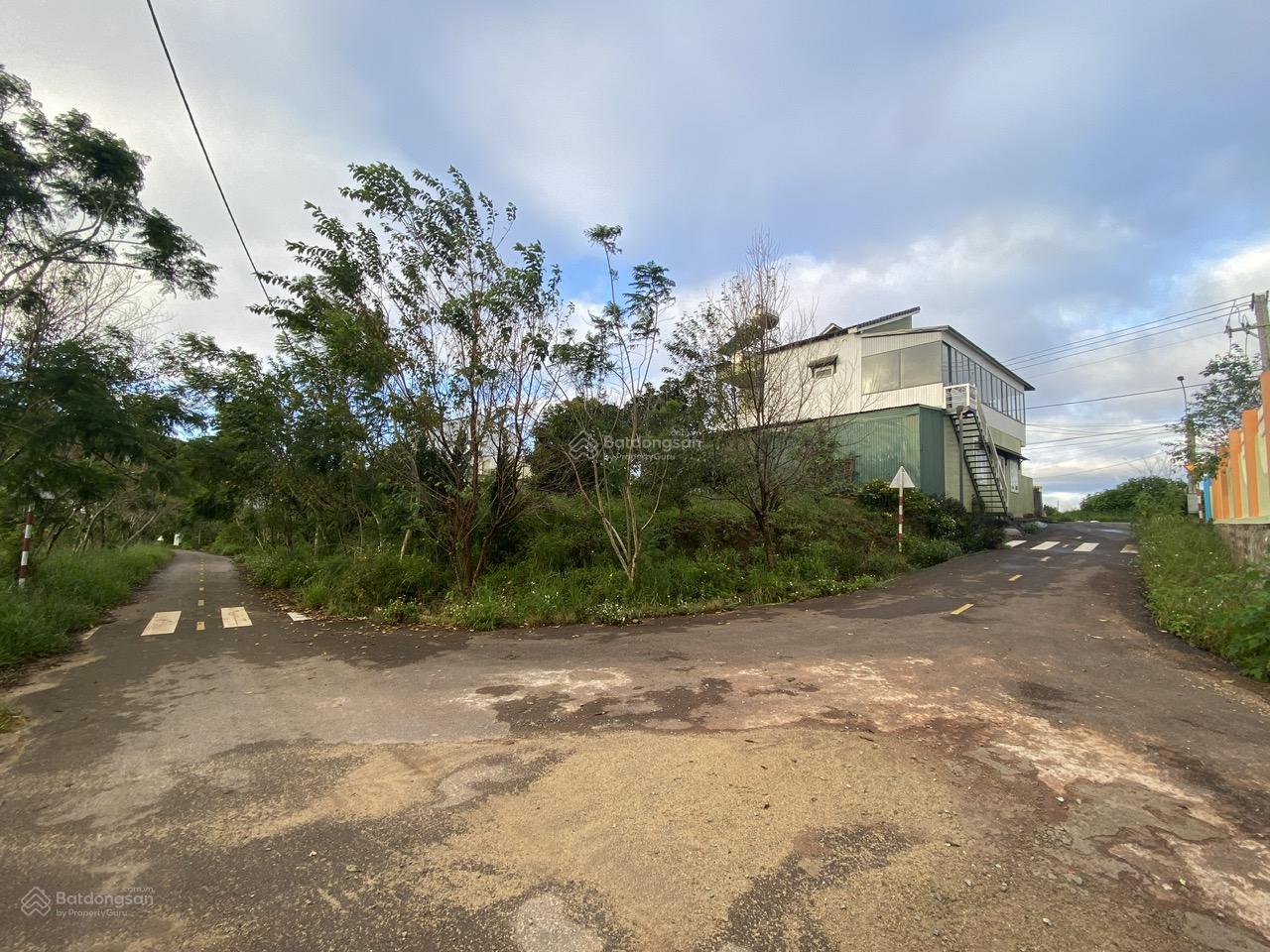 Cho thuê đất ở Đà Lạt Xuân Trường, miễn phí 1PN giá 2tr/lô/ sổ riêng 16