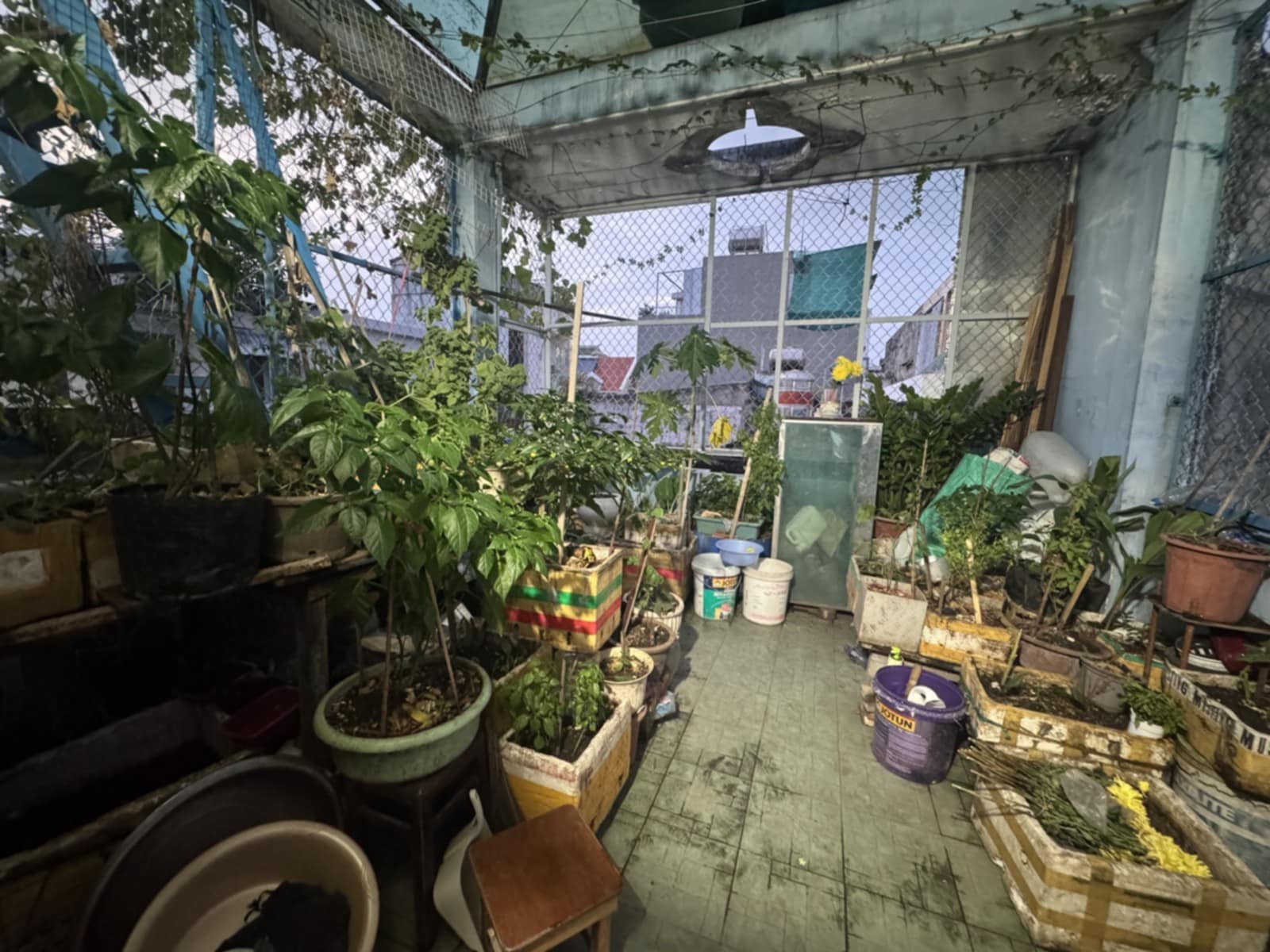 Cần bán Nhà ở, nhà cấp 4, nhà hẻm đường Lạc Long Quân, Phường 8, Diện tích 48m², Giá 6700 Triệu