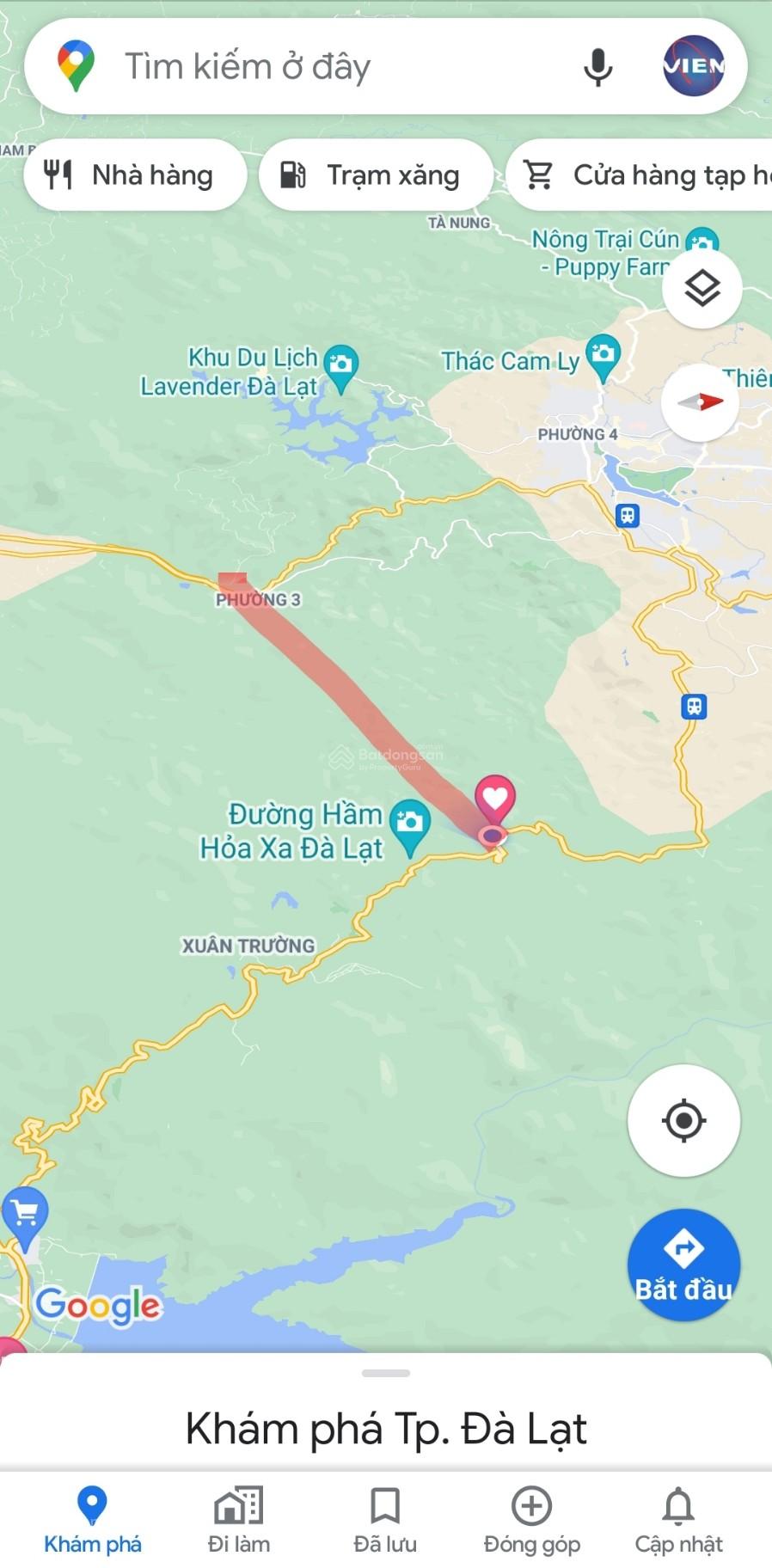 Cho thuê 10.600m2 đất vườn cafe Sim Tím MT QL20, HXH Đà Lạt 3