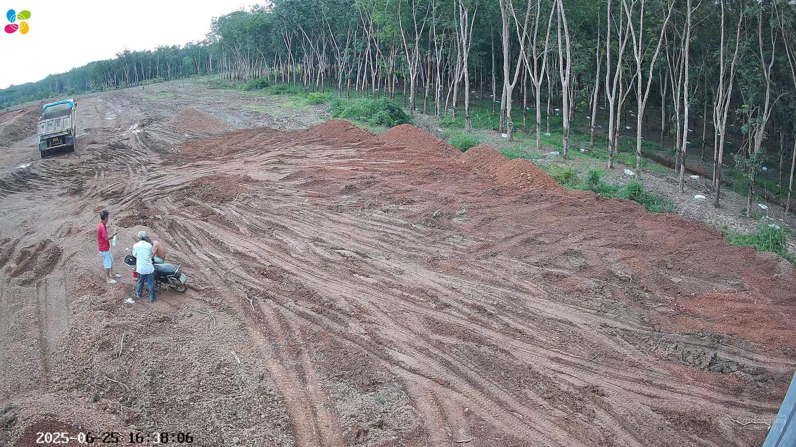 Cho thuê đất trống CLN tại xã An Long, TP. HCM, diện tích 4,5ha 22