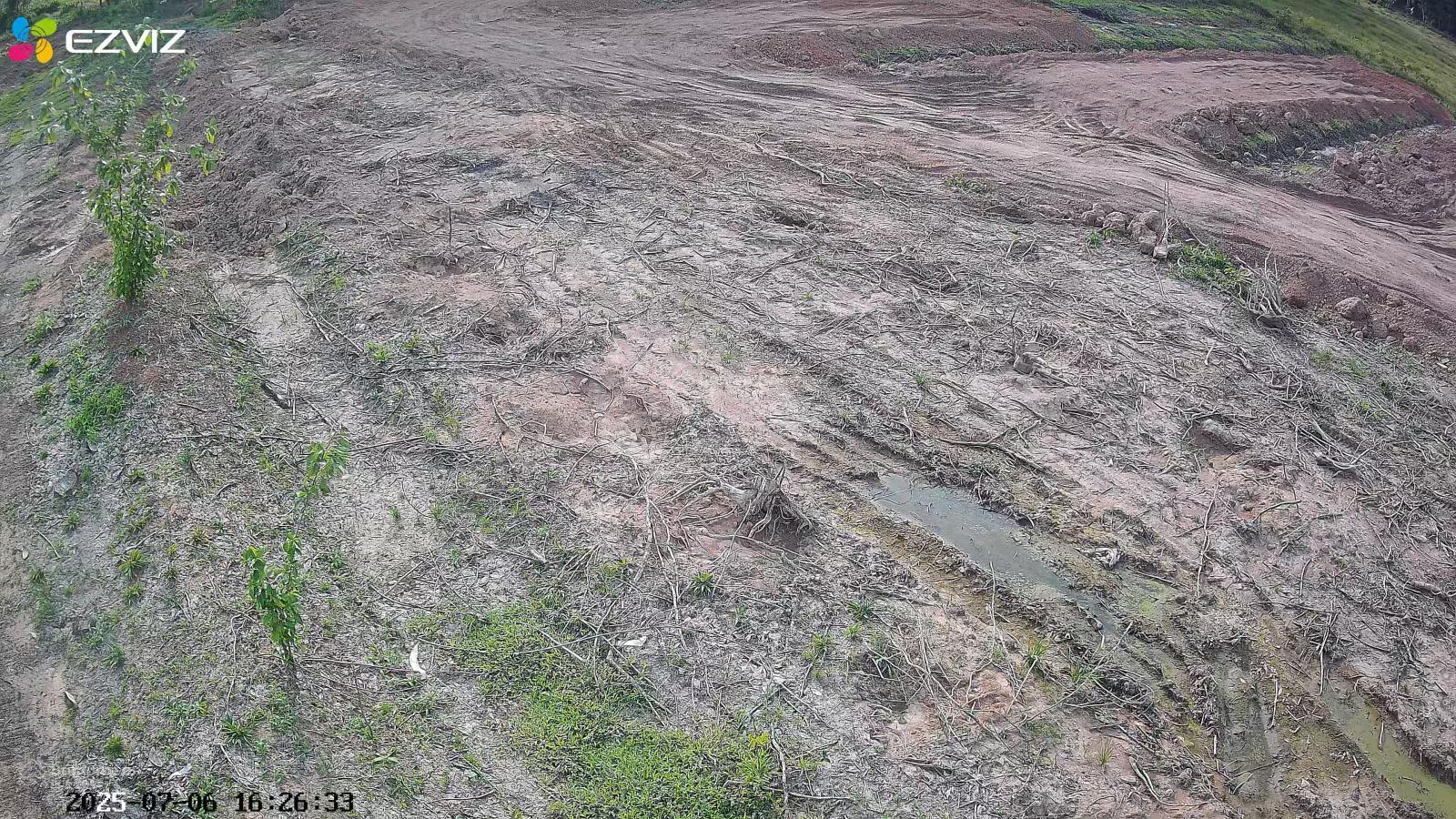 Cho thuê đất trống CLN tại xã An Long, TP. HCM, diện tích 4,5ha 23