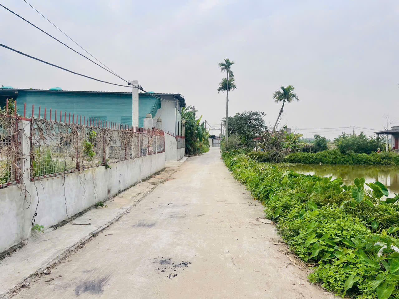 7XX TRIỆU  LÔ ĐẤT GIÁ F0 TẠI QUYẾT TIẾN - NAM ĐỒ SƠN - ZALO 0567 222 555 5