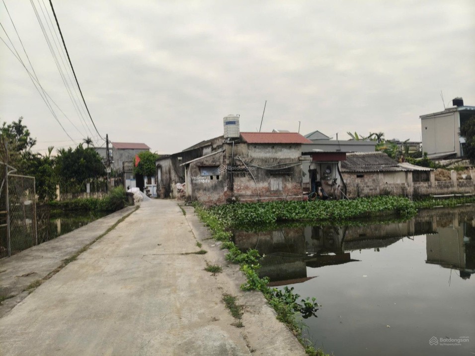 BÁN ĐẤT SƠN ĐỒNG QUỲNH GIAO (NAY LÀ XÃ MINH THỌ, HƯNG YÊN)