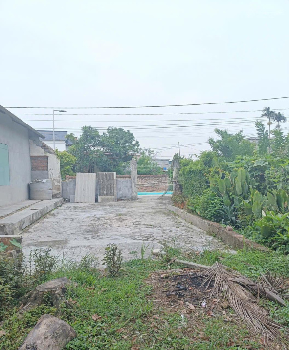 BÁN ĐẤT THÔN ĐÔNG HỒNG XÃ QUỲNH AN (TRƯỚC ĐÂY THUỘC QUỲNH BẢO, QUỲNH PHỤ, THÁI BÌNH) 4