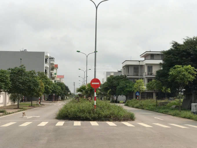 Cần bán Đất Phường Nhị Châu, Hải Dương, Diện tích 250m², Giá 235 Triệu/m² 2