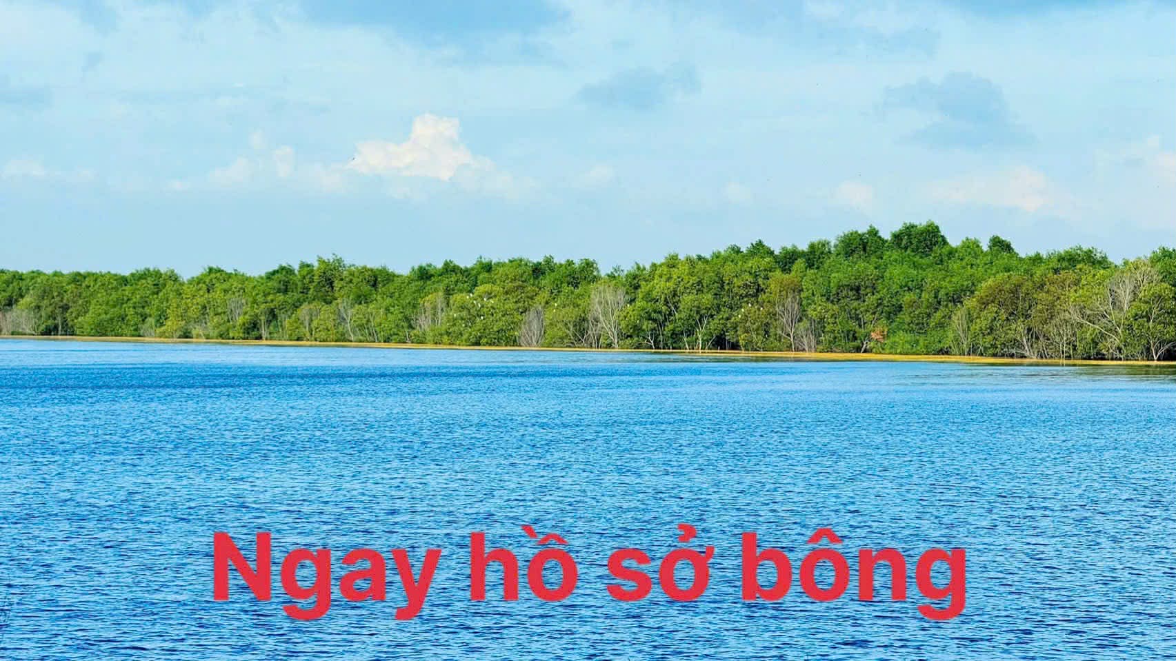 Cần bán Đất đường 44A, Thị trấn Phước Hải, Diện tích 300m², Giá 1.2 Tỷ