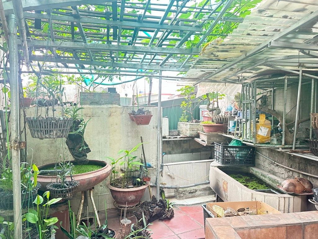 Cần bán Nhà mặt tiền đường Tam Trinh, Phường Mai Động, Diện tích 79m², Giá 20 Tỷ 4