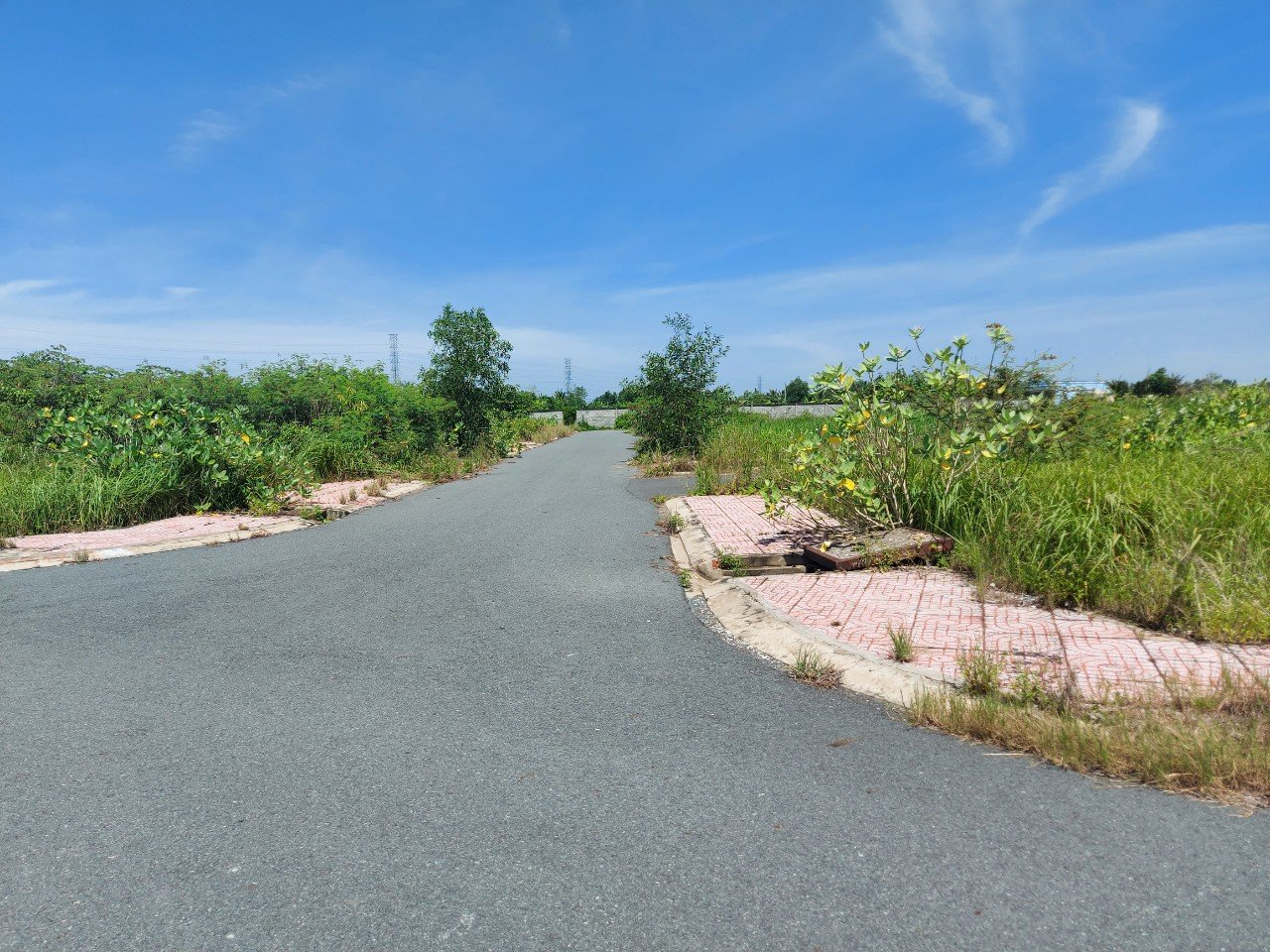 Đất nền 81m2 kdc Tân Lân Residence Chủ ngộp cần bán gấp 600tr 2