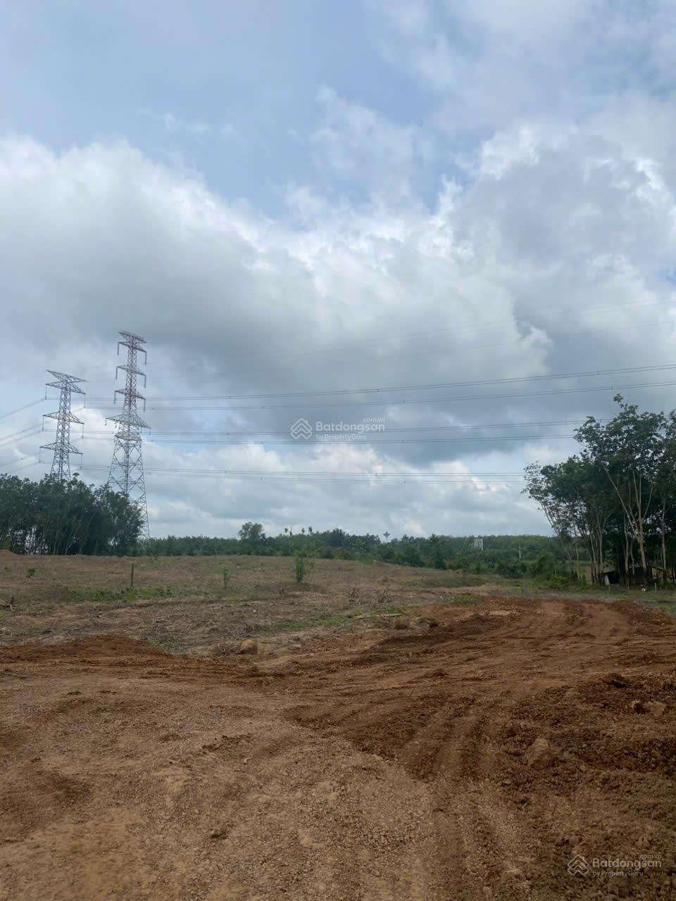 Cho thuê đất trống CLN tại xã An Long, TP. HCM, diện tích 4,5ha 4