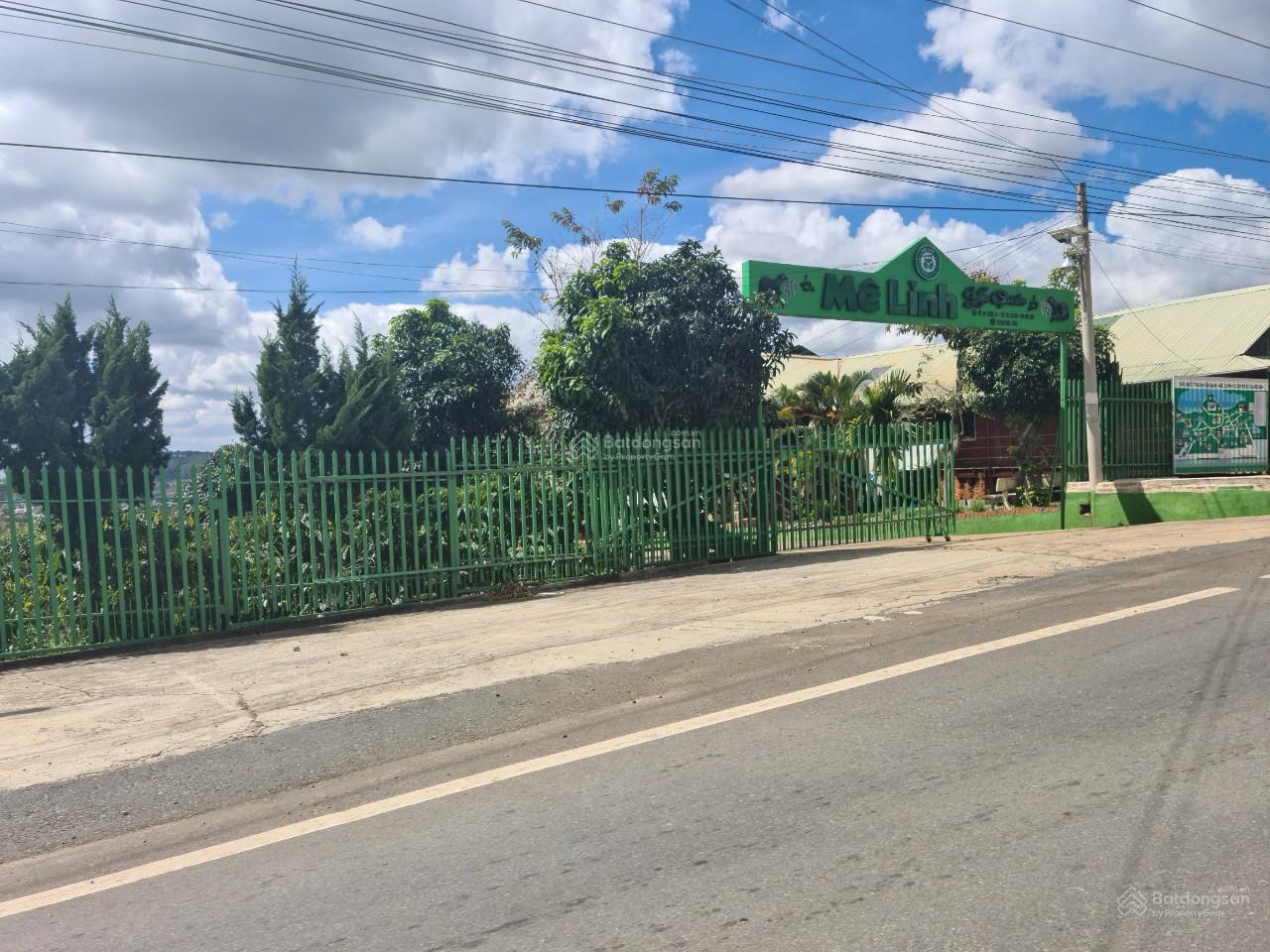 Cho thuê 10.600m2 đất vườn cafe Sim Tím MT QL20, HXH Đà Lạt 4