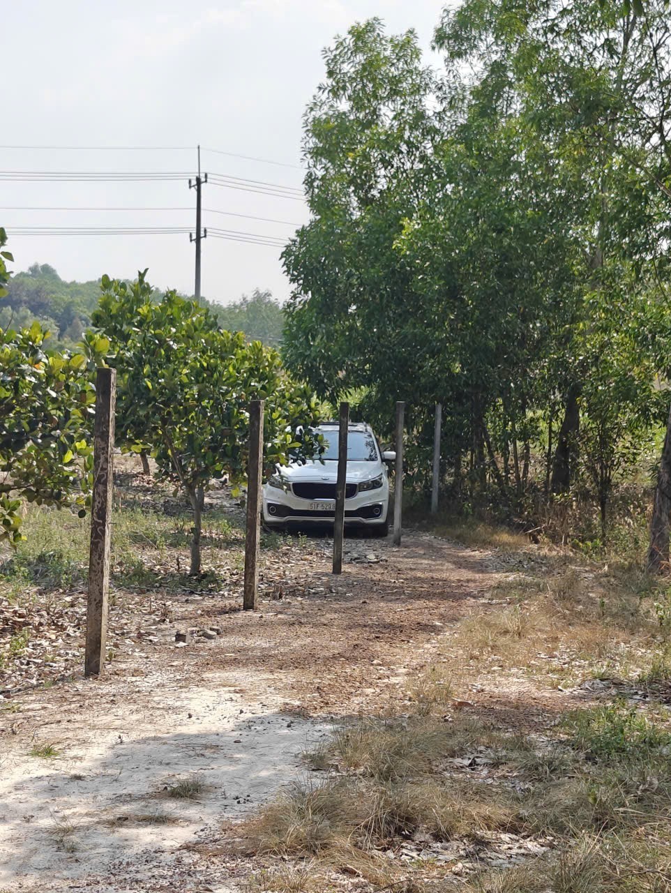 Cho thuê đất SKC chính chủ đã tách 5 sổ hồng giá 9,9 triệu/tháng 3