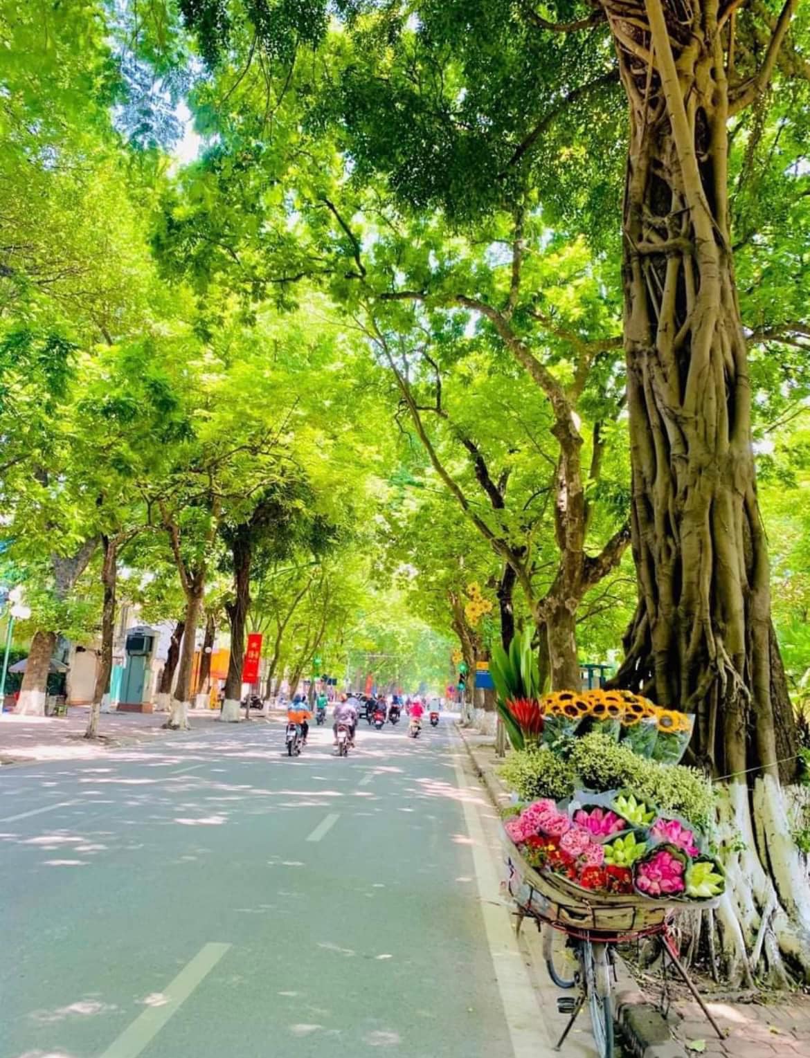 Cần bán Nhà ở, nhà cấp 4, nhà hẻm đường Vĩnh Phúc, Phường Ngọc Hà, Diện tích 52m², Giá 25.9 Tỷ