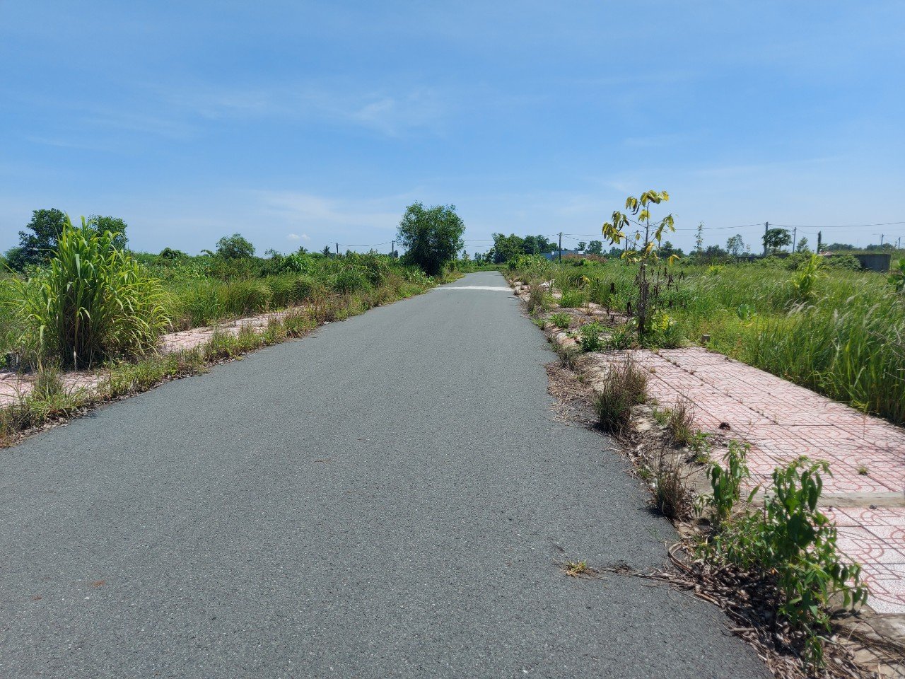 Đất nền 81m2 kdc Tân Lân Residence Chủ ngộp cần bán gấp 600tr 3