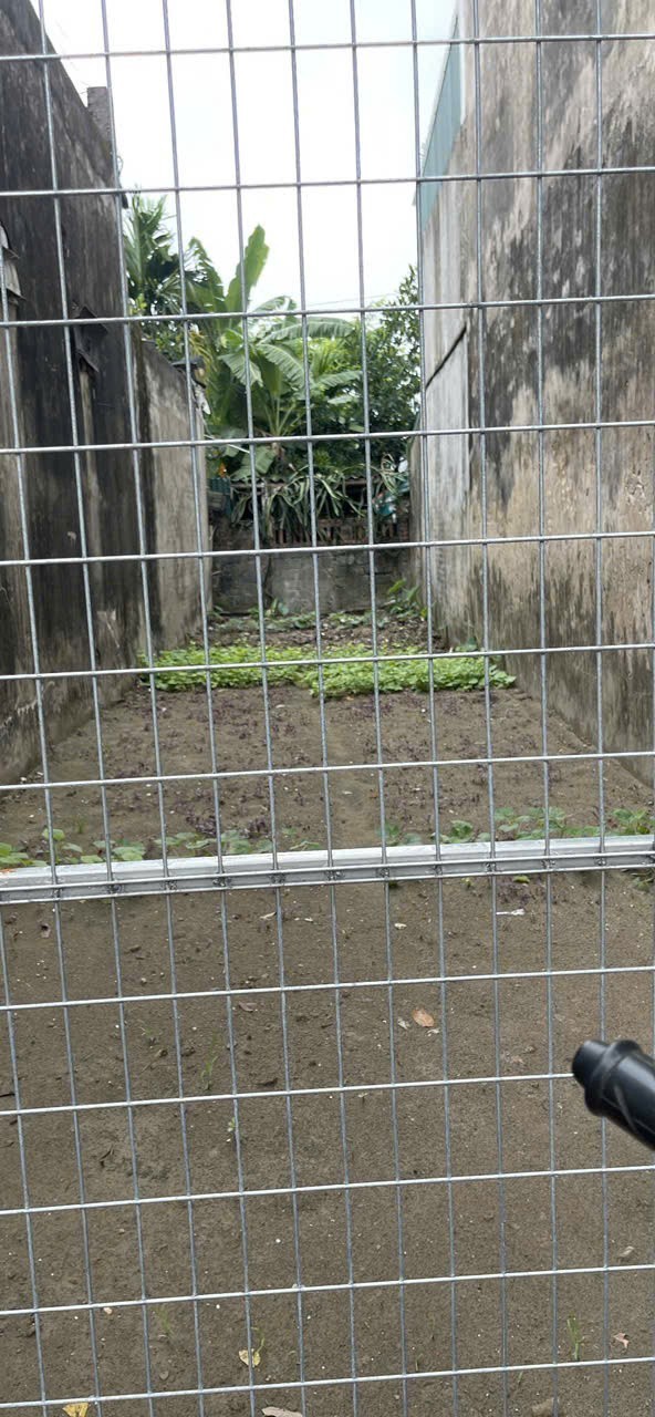 chủ ngột thở cần bán nhanh lô đất mặt đường Long Hưng gần chợ đầu mối và trường học, trạm y tế 2