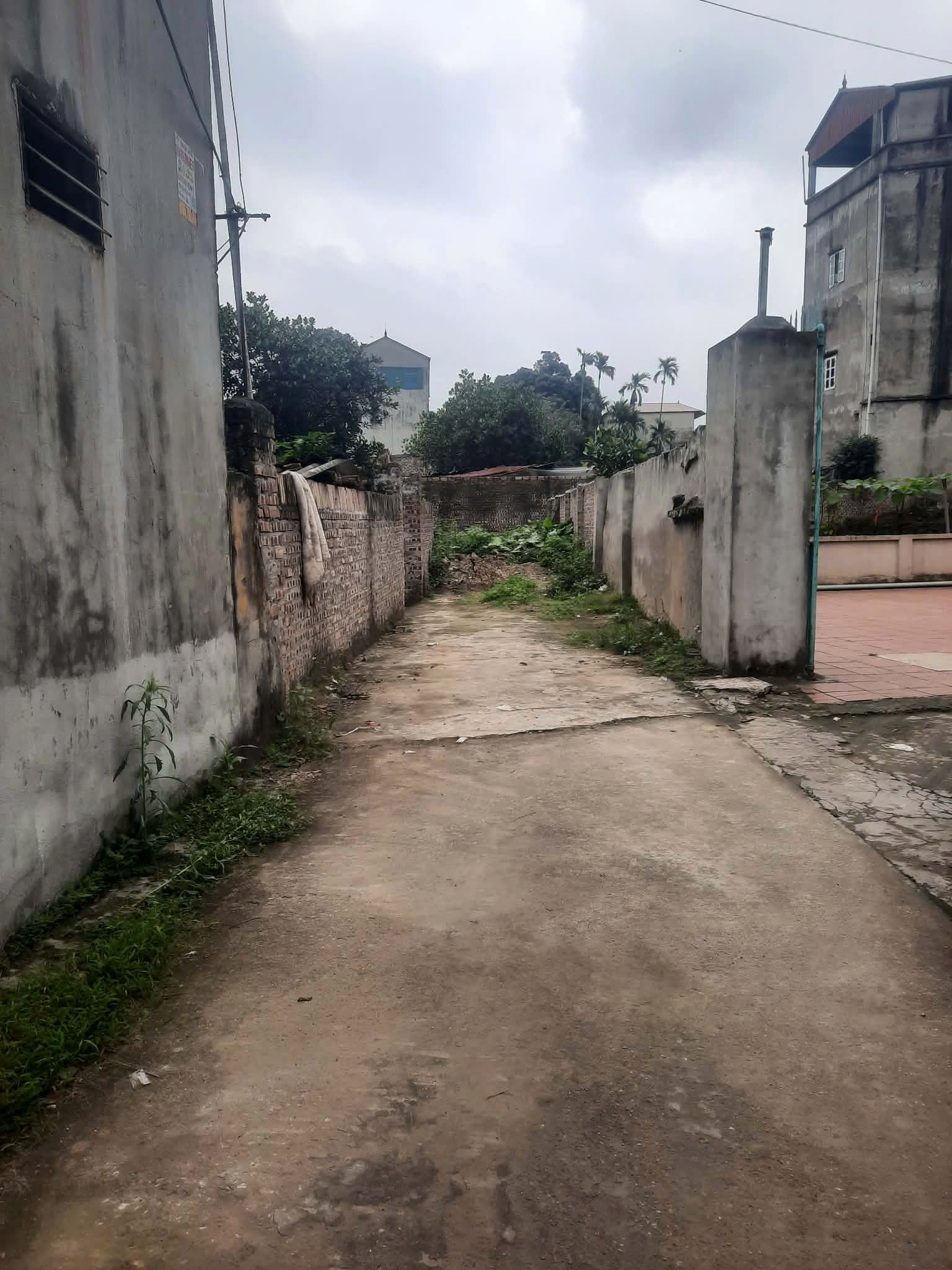 Bán 97m2 đất full thổ cư: Nghĩa Trai, Như Quỳnh, Hưng yên, sát vin 3: 0835459289