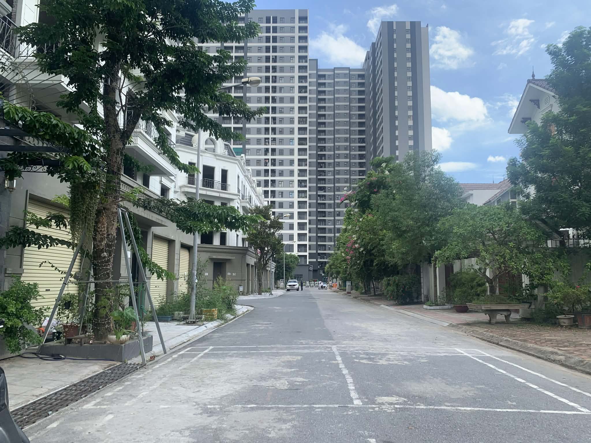 bán đất phân lô khu 31Ha Trâu Quỳ, 250m, mặt tiền 12.5m, đường nhựa, vỉa hè, ôtô dừng đỗ 3