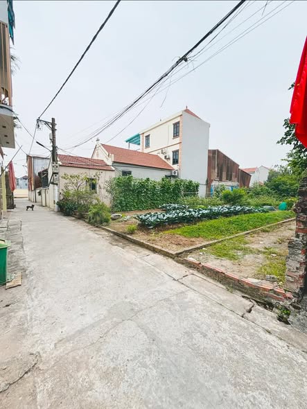 64M ĐẤT LA THẠCH - PHƯƠNG ĐÌNH - ĐAN PHƯỢNG 3