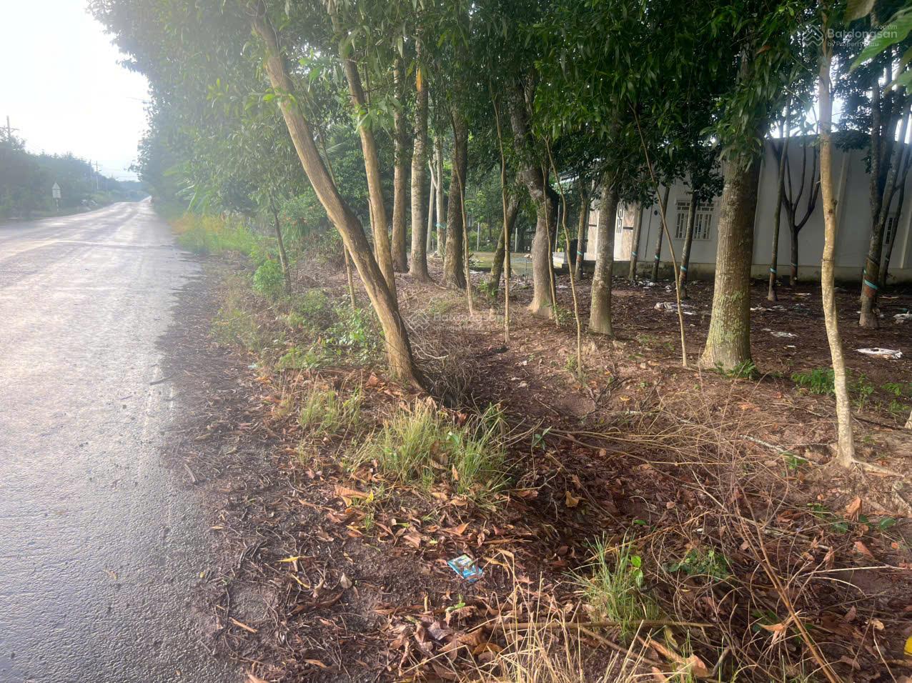 Cho thuê 4.240m2 đất thổ cư đường DT741C rộng 22m có nhà mặt tiền 80m 7