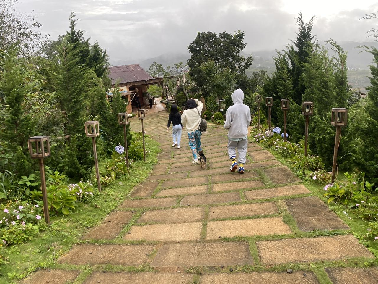 Cho thuê đất ở Đà Lạt Xuân Trường, miễn phí 1PN giá 2tr/lô/ sổ riêng 7