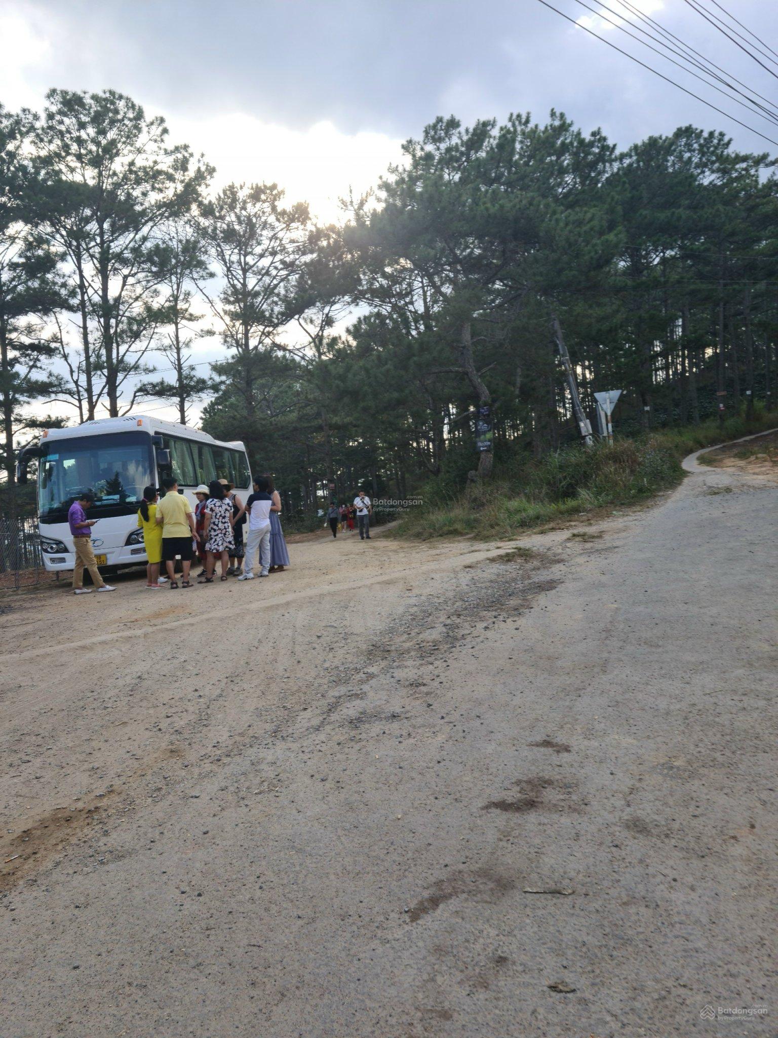 Cho thuê 10.600m2 đất vườn cafe Sim Tím MT QL20, HXH Đà Lạt 7