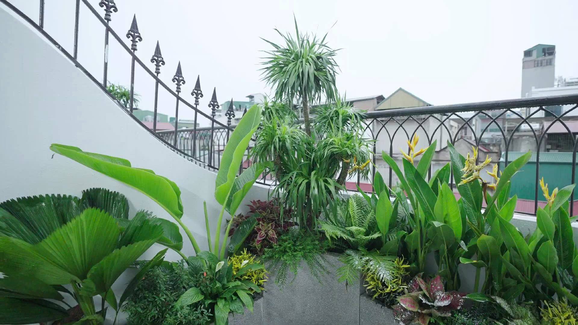 BÁN NHÀ #CHÍNH #CHỦ- TRUNG TÂM #CẦU #GIẤY- GIÁ ĐẸP NHẤT- TẶNG NỘI THẤT- THANG MÁY-5 TẦNG _49M2- Ô 3