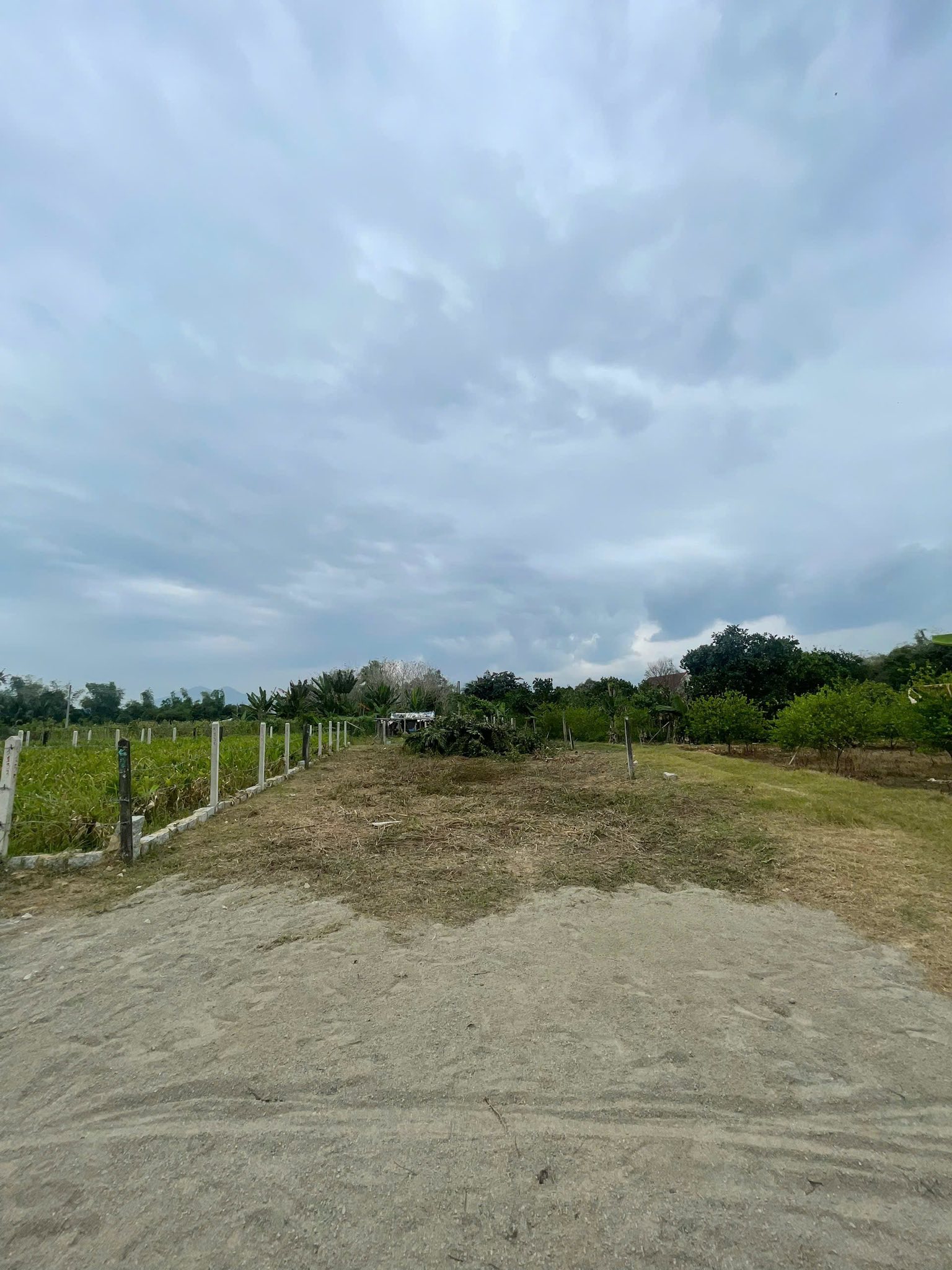 CHỦ CẦN ĐỂ LẠI LÔ ĐẤT ĐẸP NỞ HẬU XÃ DIÊN BÌNH - DIÊN KHÁCH THỔ CƯ 100% 2