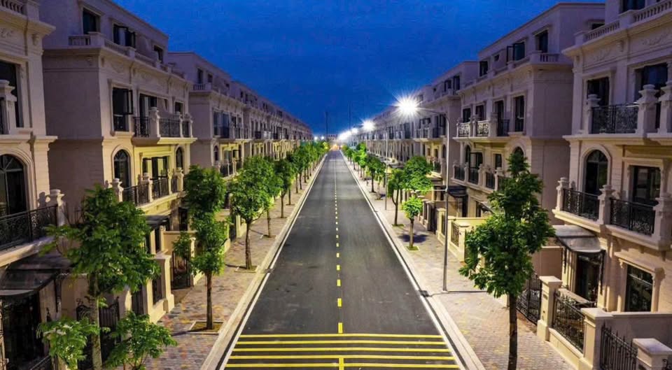 Suất Ngoại Giao căn BIỆT THỰ SONG LẬP 4 tầng 200m2 HÀNG HOT tại KĐT Đảo VINHOMES Vũ Yên, Hải Phòng 2