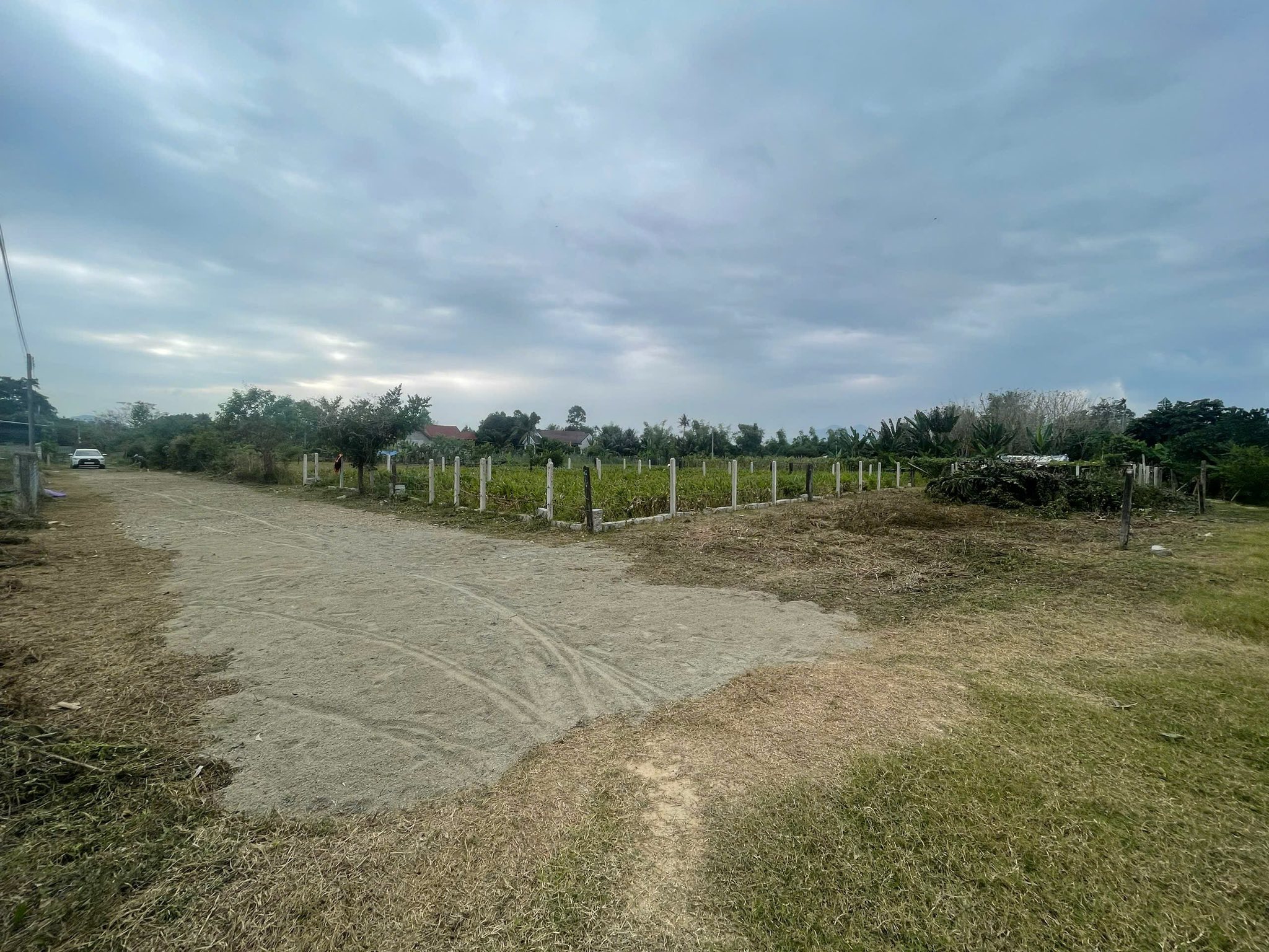 CHỦ CẦN ĐỂ LẠI LÔ ĐẤT ĐẸP NỞ HẬU XÃ DIÊN BÌNH - DIÊN KHÁCH THỔ CƯ 100% 3