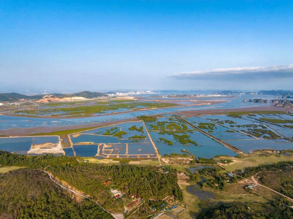 SẮP RA MẮT Vinhomes Hạ Long Xanh - SIÊU ĐÔ THỊ 4.113 HA - Giá Tốt sở hữu bđs biển quy mô LỚN NHẤT 4