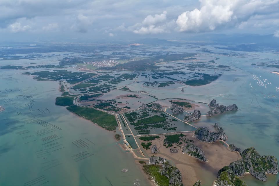 Vinhomes Hạ Long Xanh – GIÁ ĐỢT 1, Tiềm Năng Tăng Trưởng Vô Hạn Cho Những Khách Hàng Đầu Tiên. 7