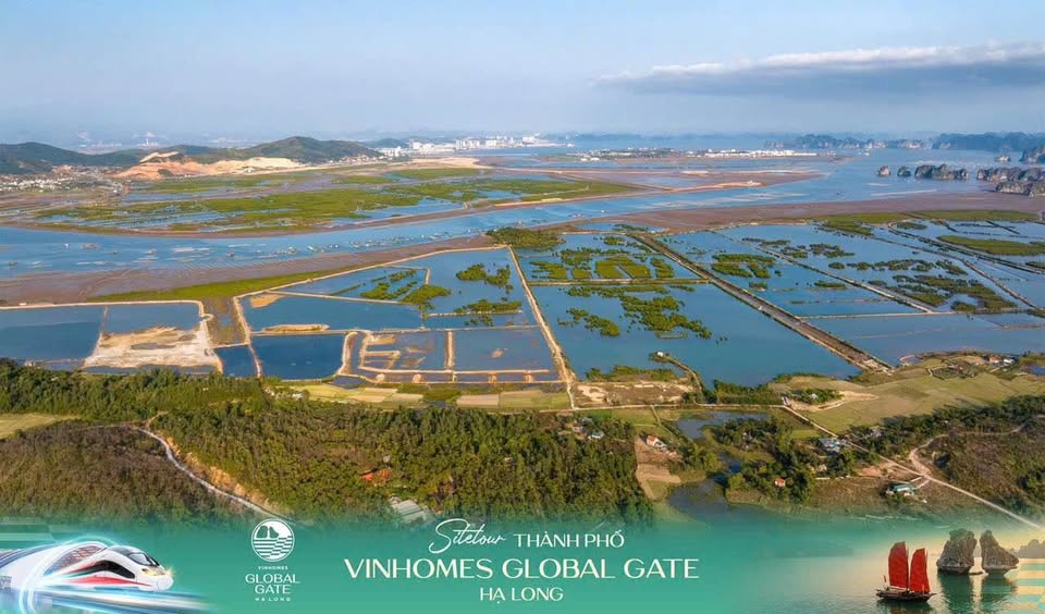 Biệt thự, Liền Kề, Shophouse Ven Vịnh [GIÁ TỐT HƠN 10–15%] QUỸ NGOẠI GIAO VINHOMES HẠ LONG XANH