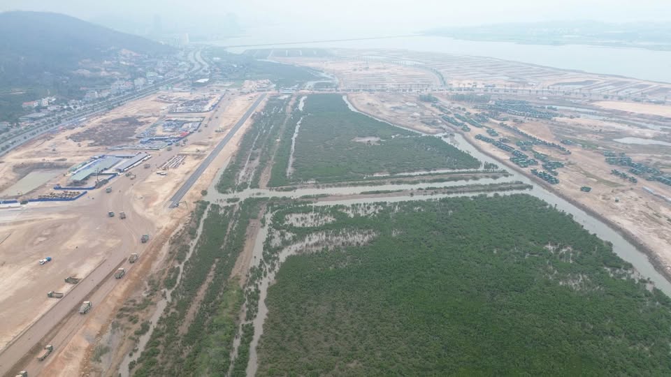 SIÊU PHẨM VEN VỊNH VINHOMES HẠ LONG XANH CHÍNH THỨC TRÌNH LÀNG– SIÊU PHẨM MONG CHỜ BẤY LÂU NAY 10