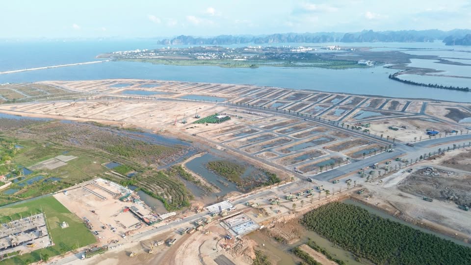 Sở hữu Quỹ căn liền kề siêu đẹp 60m mặt tiền 5m đầu tiên tại Vinhomes Hạ Long Xanh 7