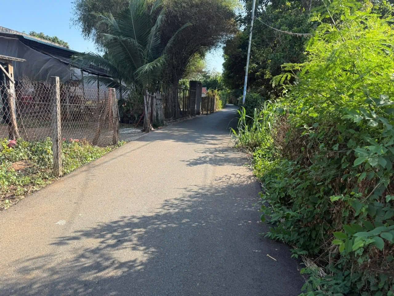 BÁN ĐẤT ĐƯỜNG SỐ 79 – HÒA LONG, TP.HCM 2