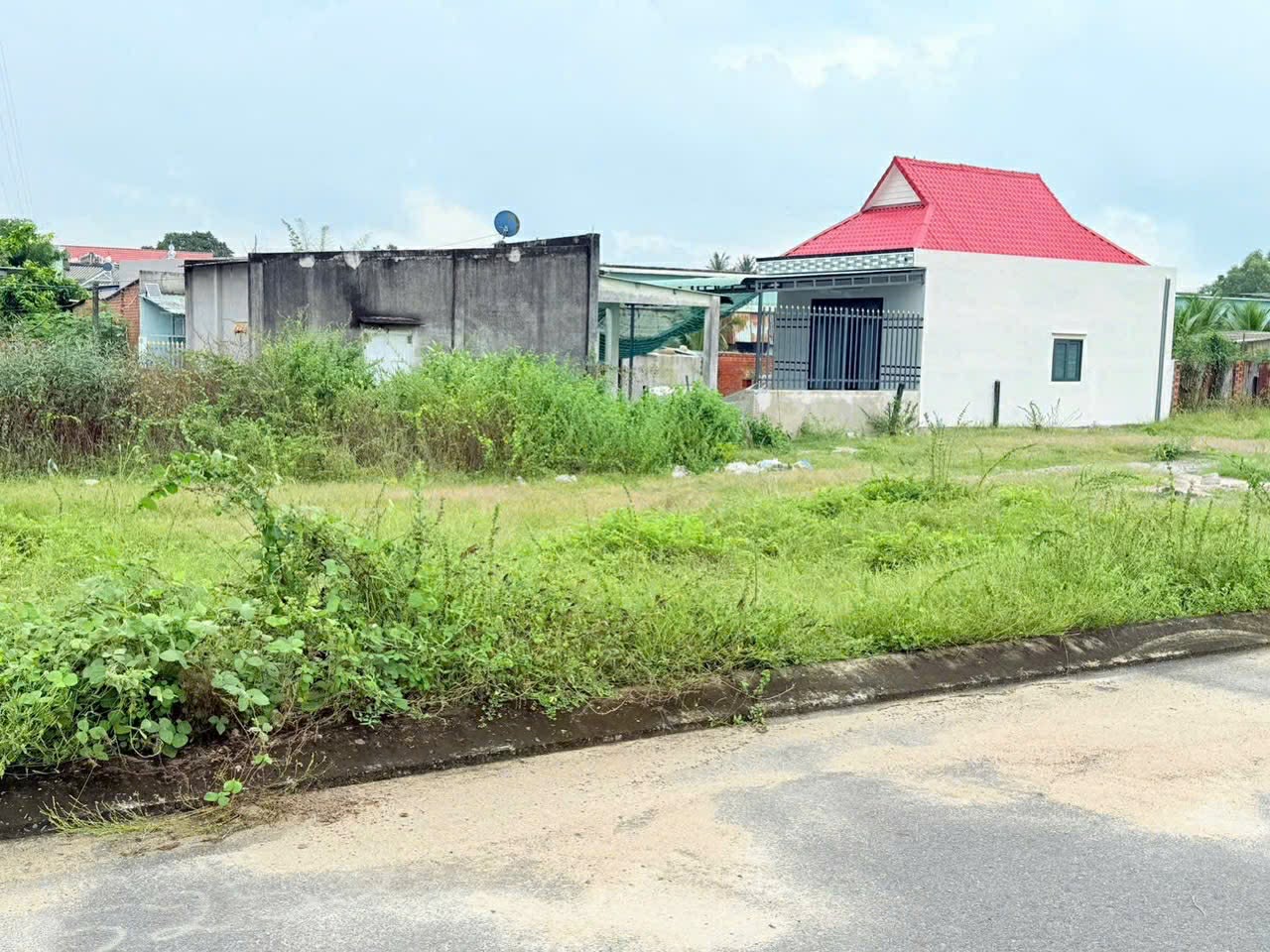 Cần bán Đất đường Võ Văn Kiệt, Thị trấn Phước Hải, Diện tích 100m², Giá 1.4 Tỷ 4