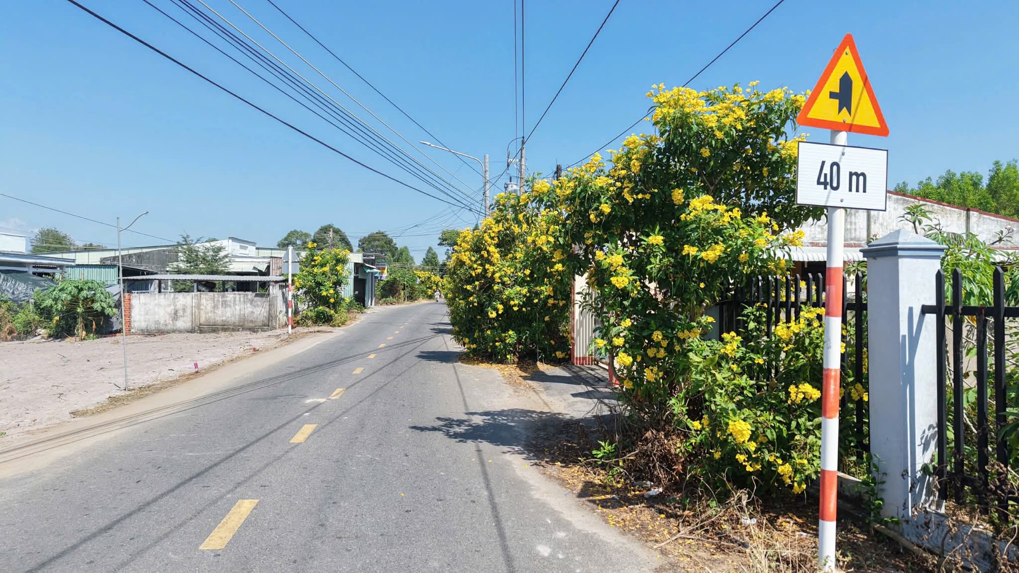 Cần bán Đất đường Tỉnh lộ 44B, Thị trấn Phước Hải, Diện tích 135m², Giá 1 Tỷ 3