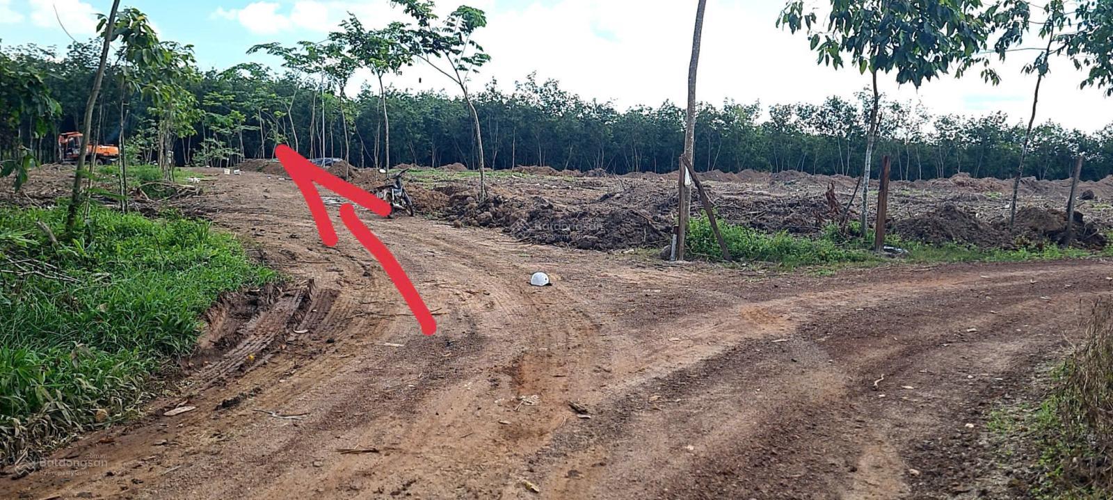 Cho thuê đất trống CLN tại xã An Long, TP. HCM, diện tích 4,5ha 9