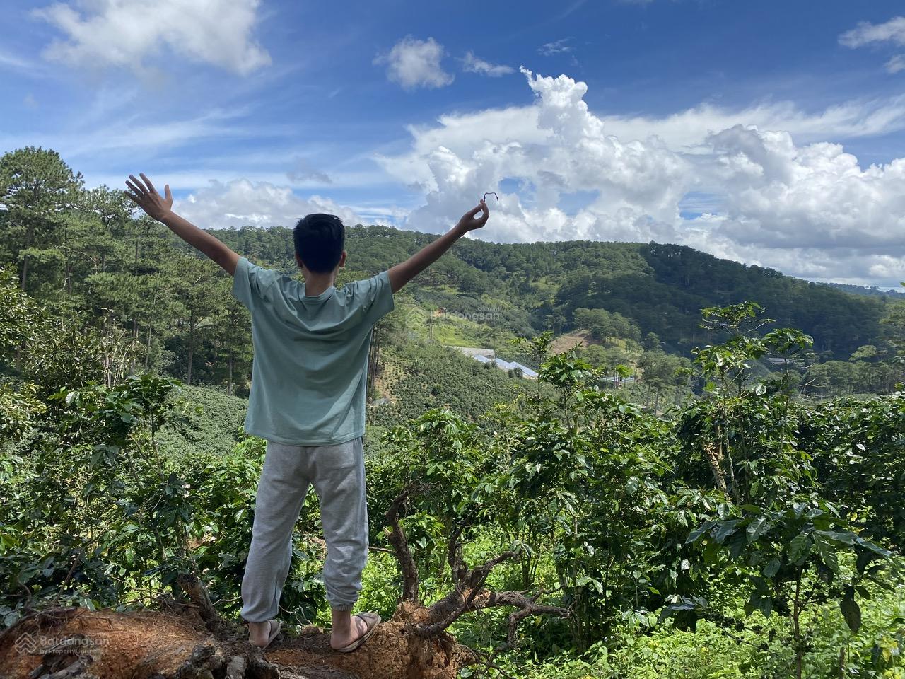 Cho thuê 10.600m2 đất vườn cafe Sim Tím MT QL20, HXH Đà Lạt 9