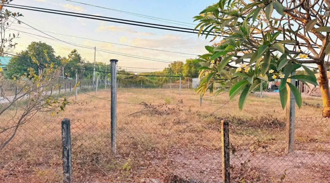 Cần bán Đất đường Tỉnh lộ 44B, Thị trấn Phước Hải, Diện tích 250m², Giá 1.35 Tỷ 3