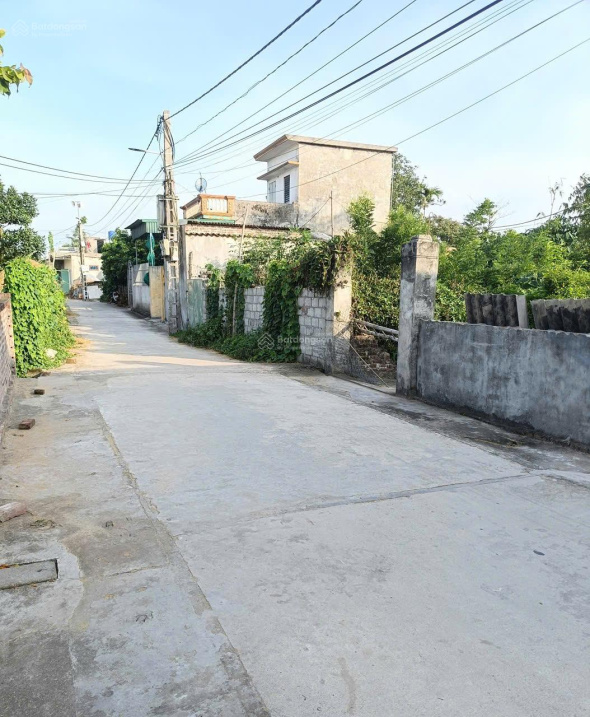 BÁN ĐẤT THÔN ĐÔNG HỒNG XÃ QUỲNH AN (TRƯỚC ĐÂY THUỘC QUỲNH BẢO, QUỲNH PHỤ, THÁI BÌNH) 5