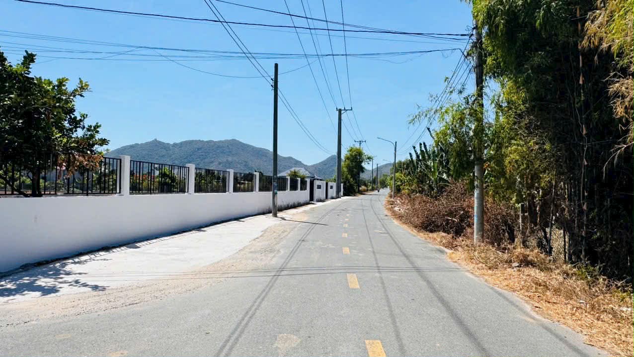 Cần bán Đất đường 44A, Thị trấn Phước Hải, Diện tích 300m², Giá 1.2 Tỷ 5