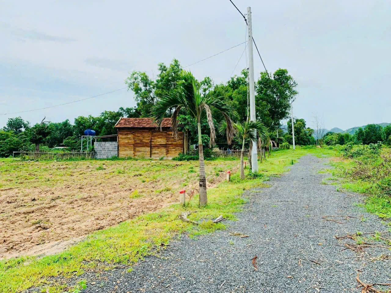 Cần bán Đất đường 44B, Thị trấn Phước Hải, Diện tích 180m², Giá 830 Triệu 4