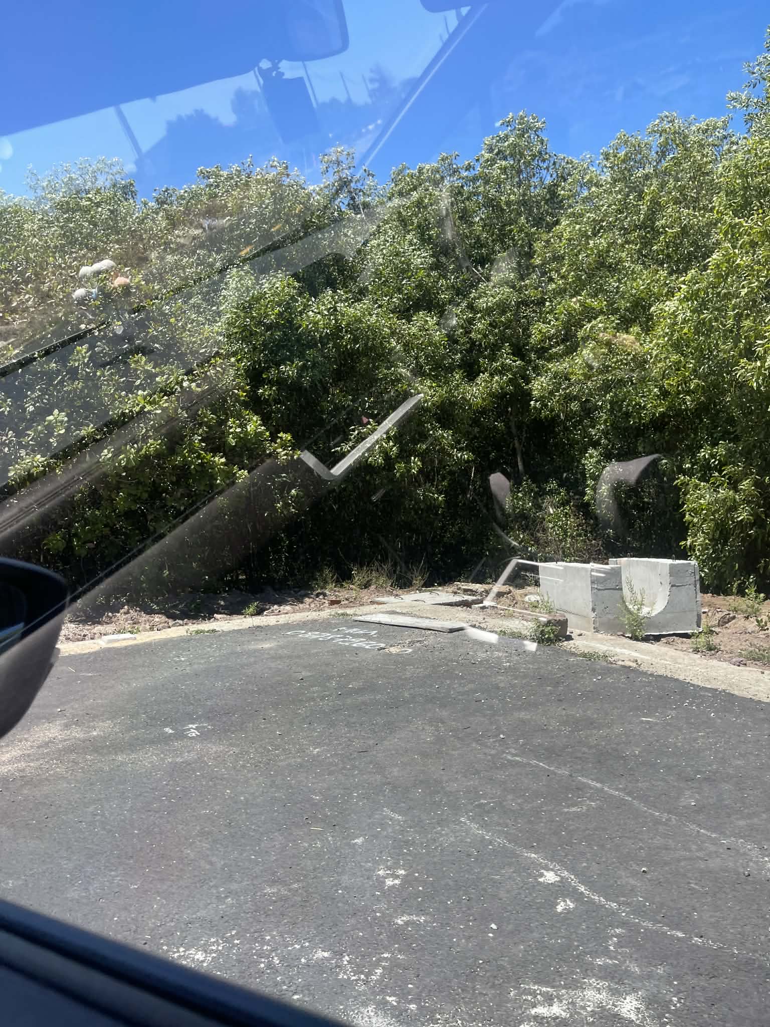 Cần bán Đất đường Võ Văn Kiệt, Thị trấn Phước Hải, Diện tích 113m², Giá 970 Triệu 4